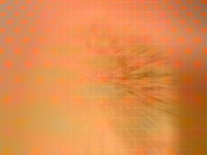 数字技术推荐：健身达人的数字训练助手